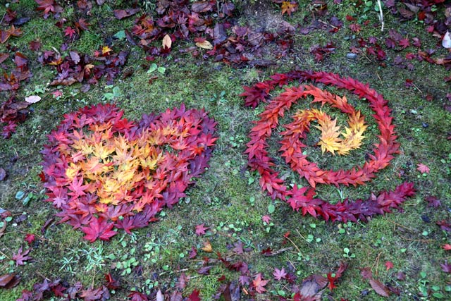 弥彦公園もみじ谷の紅葉