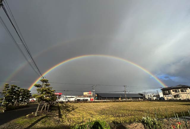 雨が降りながら日が差して虹がくっきり