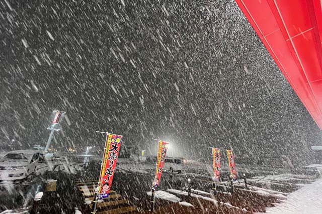 これ以上ないというくらい激しく降る雪
