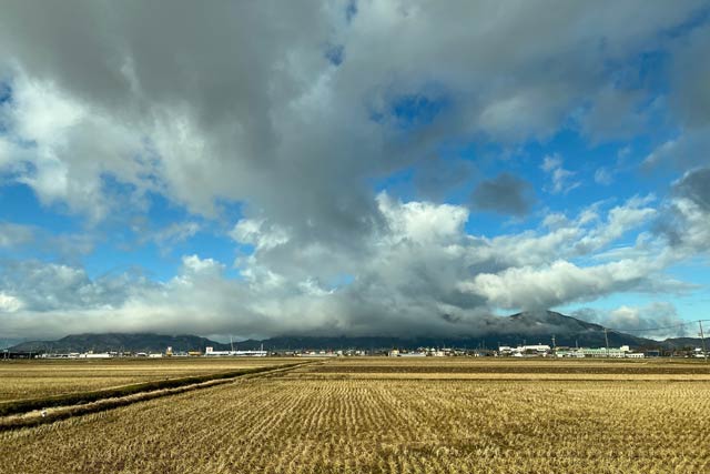 27日朝の燕市役所付近は「ひつじ田」がむきだしに