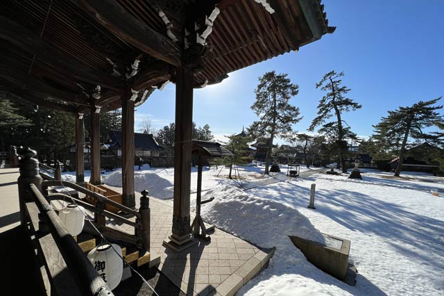 本成寺で青空