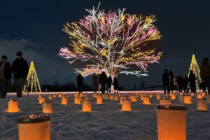 国営越後丘陵公園でXmasのイルミネーションとキャンドルナイト