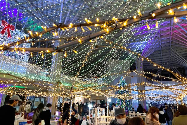 花と緑の館のクリスマスイルミネーション
