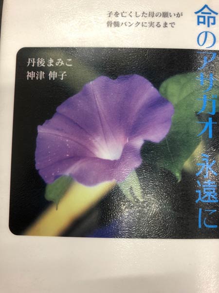 18年前に出版された『命のアサガオ永遠に』