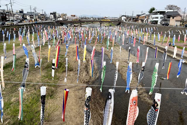 500匹のこいのぼりが加茂川の上を泳ぐ