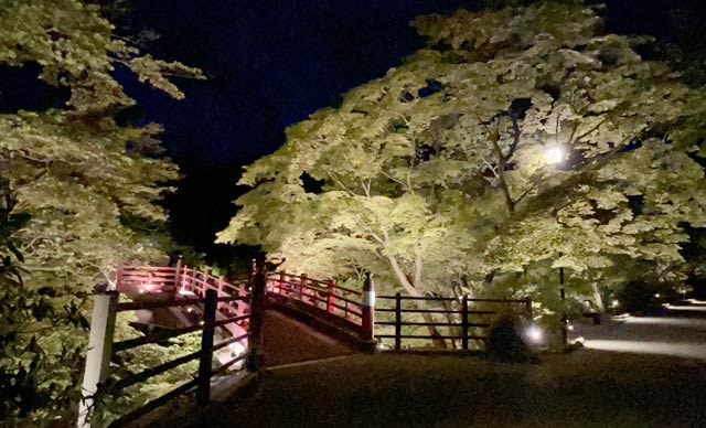 もみじ谷の観月橋付近