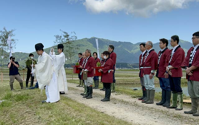 令和5年産伊彌彦米の御田植え祭