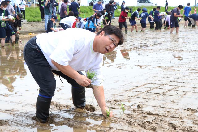 田植えに挑戦する元スワローズ監督の真中満さん