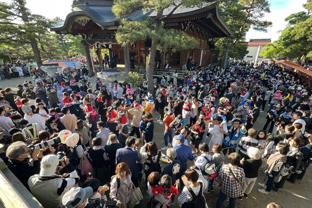 三条祭りの舞い込みは八幡宮境内が肩車の親子でぎっしり