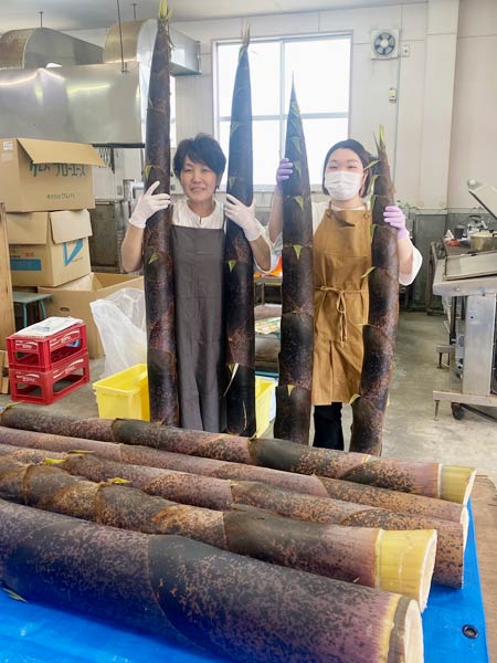 用意したタケノコは長いものを2mにも