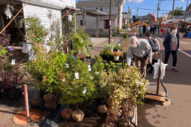 唯一の植木の出店