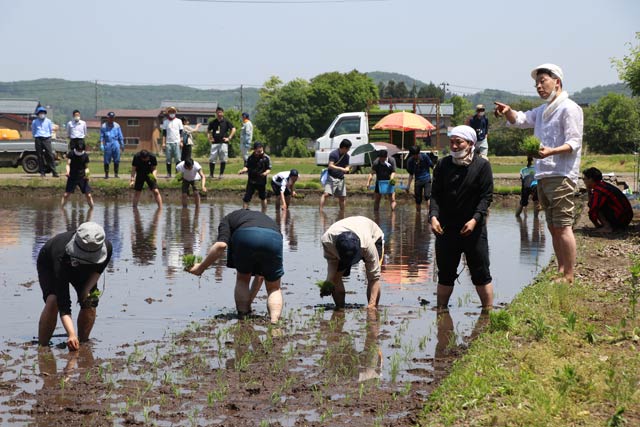 下田米の田植えを体験するつばめグリルの店長ら