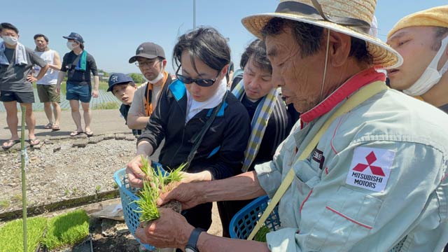 農家の指導で苗を植える