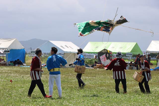 糸に絡まってくしゃくしゃになった凧