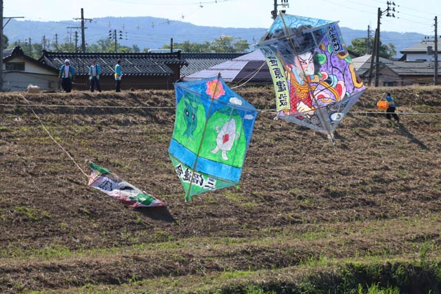 糸をからめて落ちていく大凧