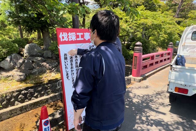 伐採工事中の看板を立てた