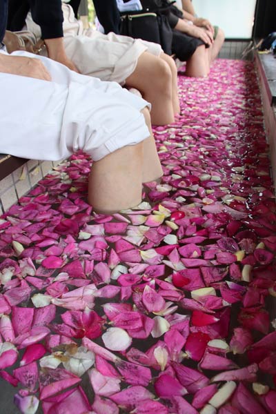 ことしも始まった弥彦おもてなし広場の「薔薇の足湯」