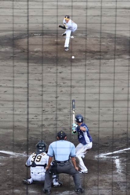 新潟にゆかりの茨木選手が投げ滝澤選手が打ち川上主審が審判