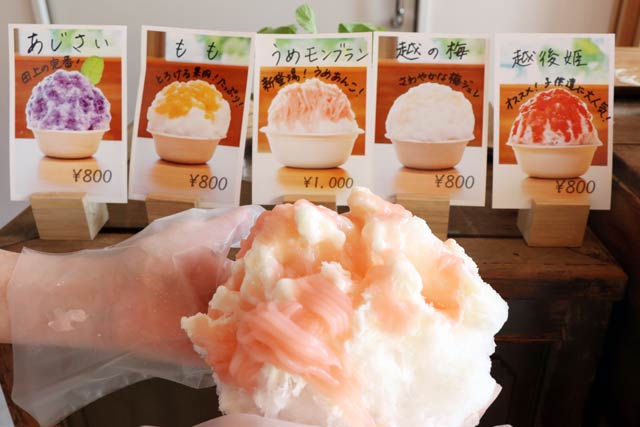かき氷のラインナップは5種類に
