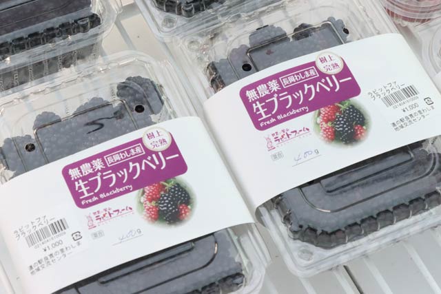ブラックベリー