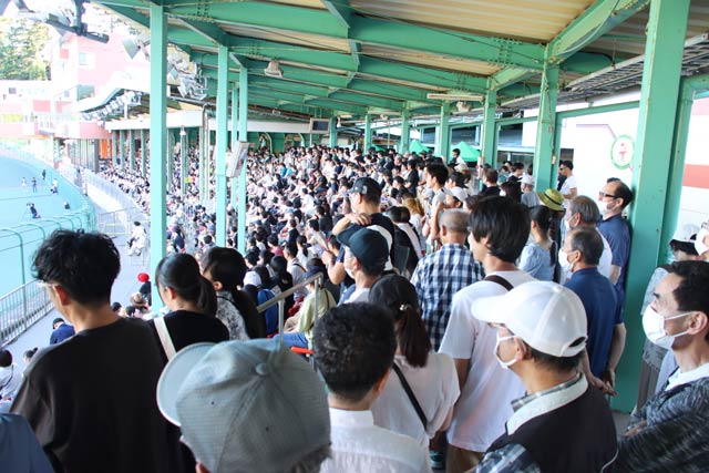 弥彦村納涼音楽祭