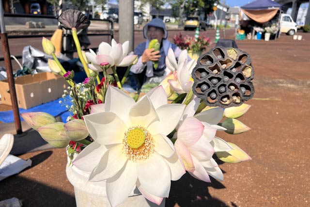中央市場で開かれている盆花市