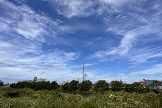 15日午前9時ごろの空