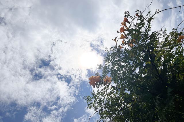 16日の雲が目立つ空