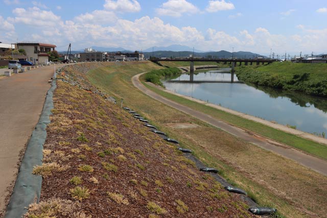 五十嵐川を愛する会が環境保全や美化に取り組んだ五十嵐川