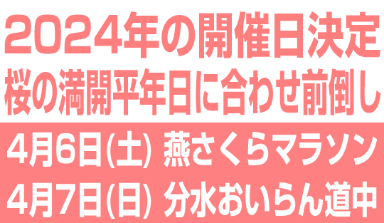 2024年の開催日決定　桜の満開平年日に合わせ前倒し　燕さくらマラソンは4月6日、分水おいらん道中は翌7日