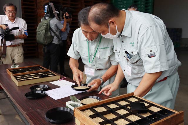 JAえちご中越管内南蒲地区のなんかん南低温倉庫でわせ品種「こしいぶき」の品質検査