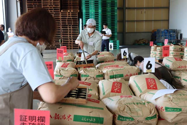 JAえちご中越管内南蒲地区のなんかん南低温倉庫でわせ品種「こしいぶき」の品質検査