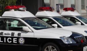 角田浜でイチジク600個盗まれる