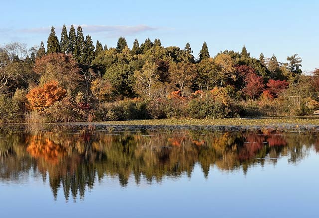 いもり池の紅葉