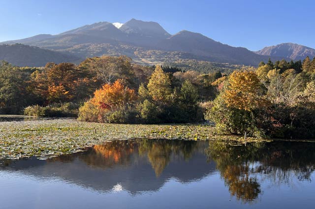 いもり池の紅葉