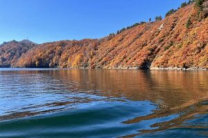 奥只見湖の紅葉が盛り 紅葉は山手から平場へ