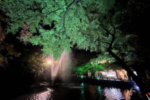 加茂山公園の池之端で紅葉ライトアップ