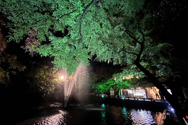 加茂山公園の池之端で紅葉ライトアップ