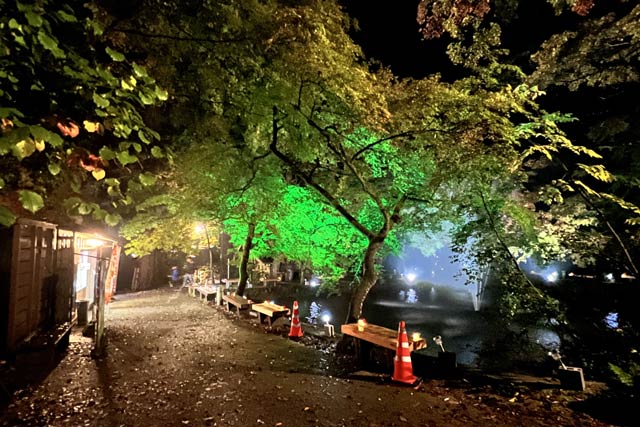 加茂山公園の池之端で紅葉ライトアップ