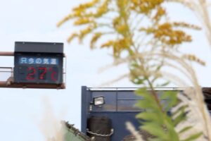 「27℃」を表示する三条大橋たもとの気温の電光表示板と色合わせ始めたセイタカアワダチソウの花とススキ
