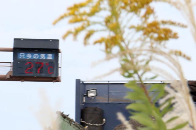 「27℃」を表示する三条大橋たもとの気温の電光表示板と色合わせ始めたセイタカアワダチソウの花とススキ
