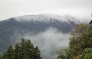 初冠雪の粟ヶ岳 「しただブログ」より