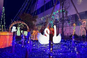 県央研究所のクリスマスイルミネーション