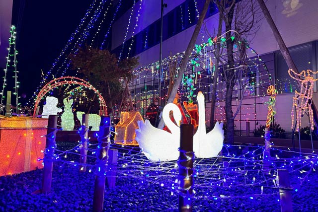 県央研究所のクリスマスイルミネーション