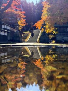 ぽかぽか陽気に紅葉で関東地方のよう