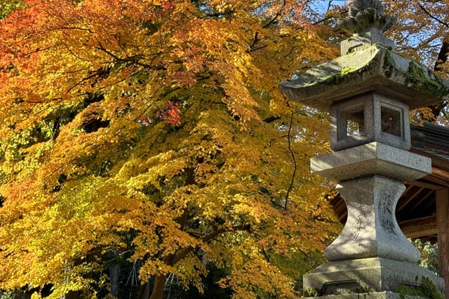 加茂市・加茂山ふもとの青海神社の赤鳥居石畳