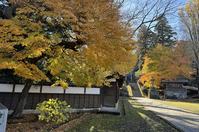 加茂市・加茂山ふもとの青海神社の赤鳥居石畳