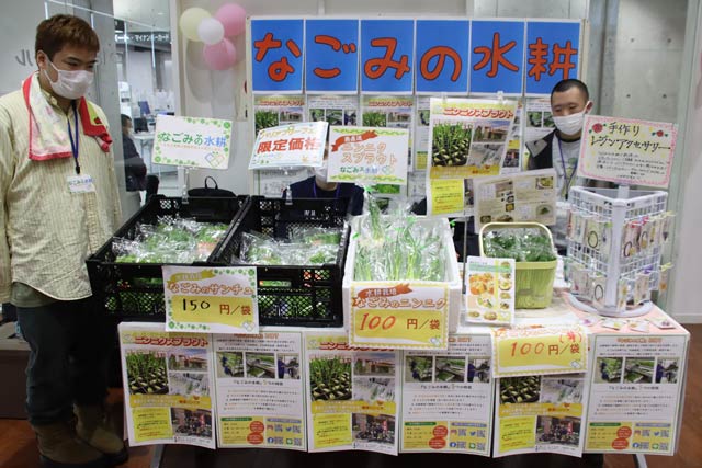 なごみの水耕