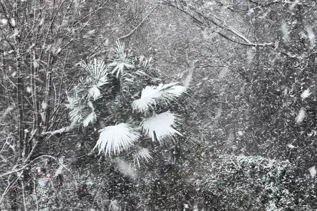 視界を悪くするほど激しく降る雪（17日午後2時ごろ）
