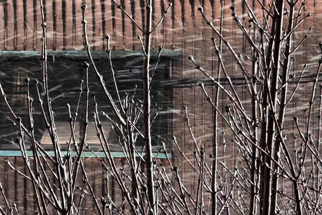 横なぐりの雪